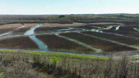marshland of bell slough wildlife management area near mayflower in faulkner county, arkansas