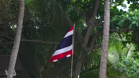 Thai-national-flag-beautifully-waving-in-slow-motion-against-jungle-with-coconut