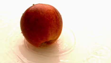 apple spinning on wet white surface