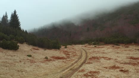 Vista-Panorámica-De-Las-Colinas-Con-Follaje-Denso-Durante-El-Día-De-Niebla-En-La-Montaña-Beleg-En-Mokra-Gora,-Serbia