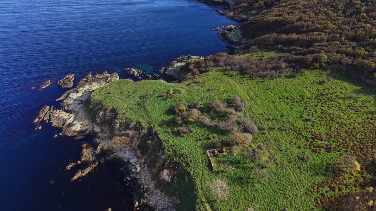 Scenic aerial view of green coastal cliffs meeting blue waters