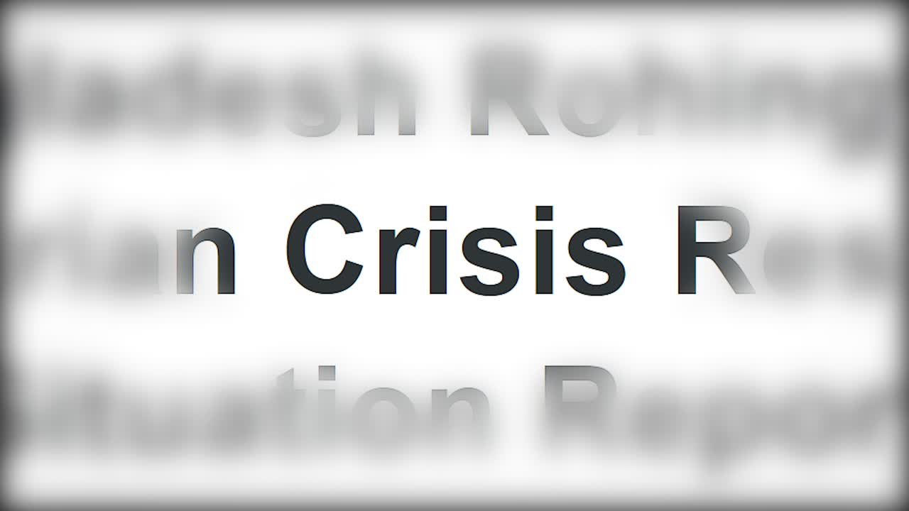 Name of the global crisis in the lines of electronic publications