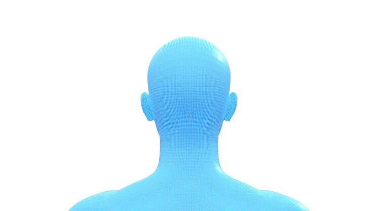 Man, Male Human Head. 3D Wireframe Model, Seamless Loop