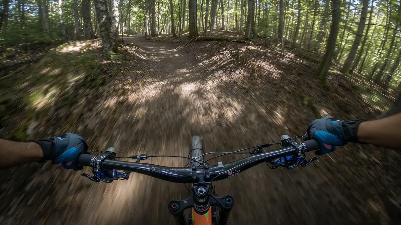 Steering handlebars nearing root descent navigating forest trail to stay centered with blue gloves