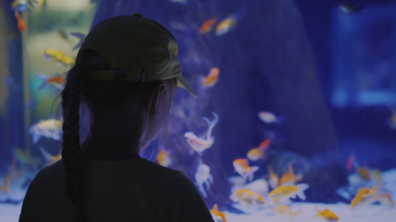 vista lateral niña mirando un enorme acuario con peces marinos concepto de inspiración e impresiones