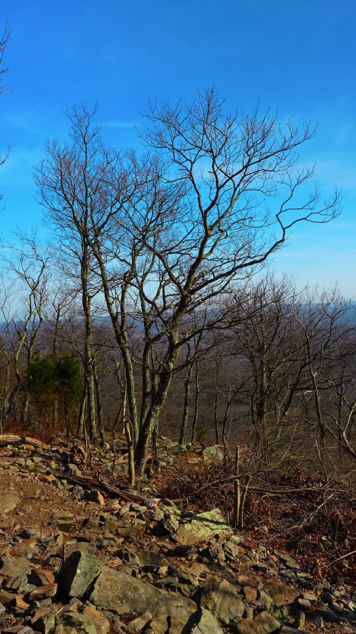 Sentiero escursionistico sassoso e alberi spogli sul Monte Tammany. Terreno roccioso con bosco di latifoglie e cielo blu in cima alla cresta montuosa del Delaware Water Gap