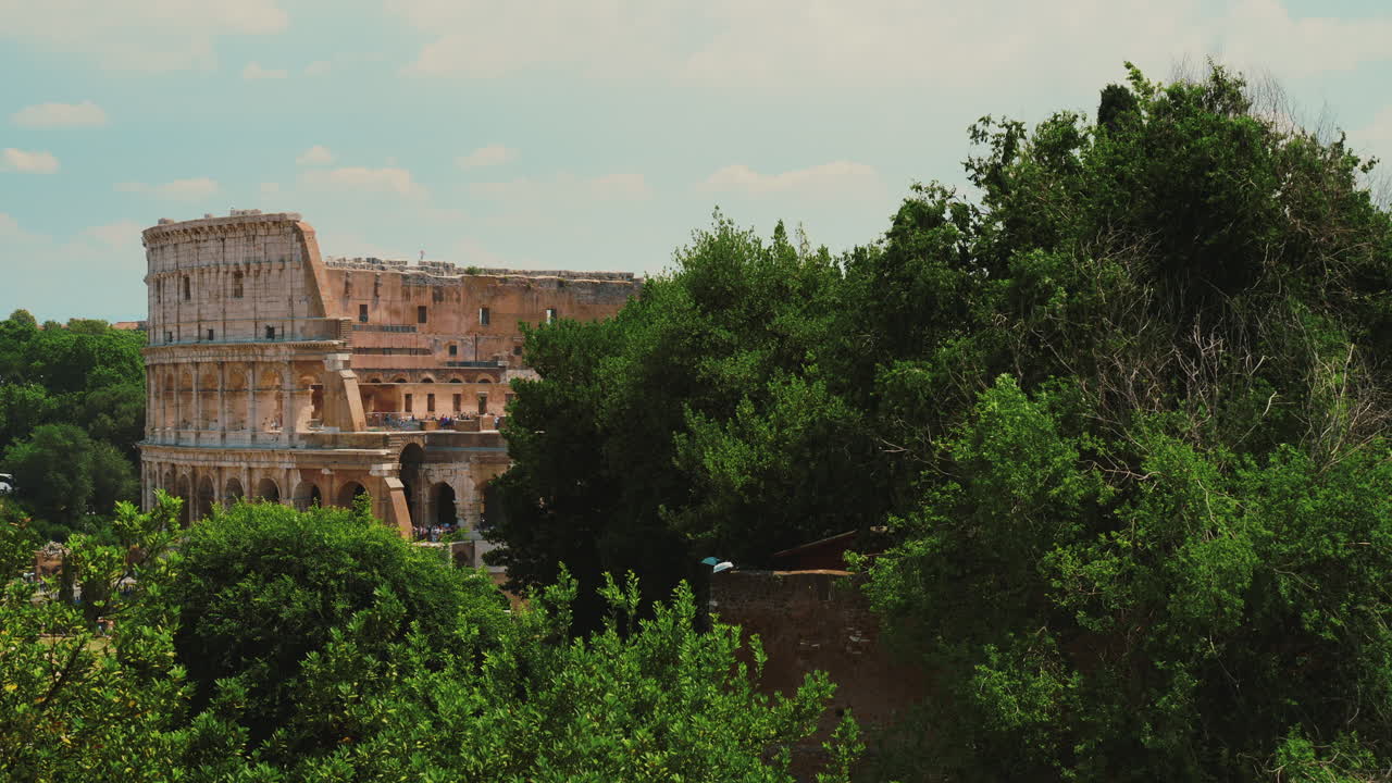 로마 콜로세움과 나무 꼭대기