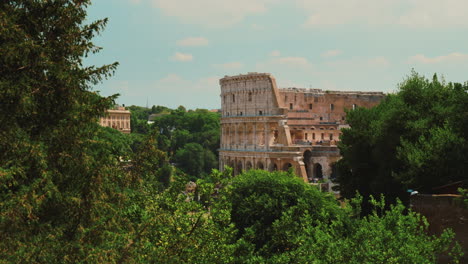 coliseo romano y copas de los árboles