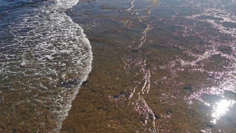 view of sea and sand. sea shore water background