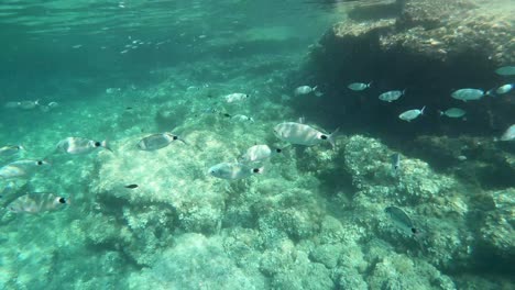 Snorkelling-in-the-Balearic-Islands