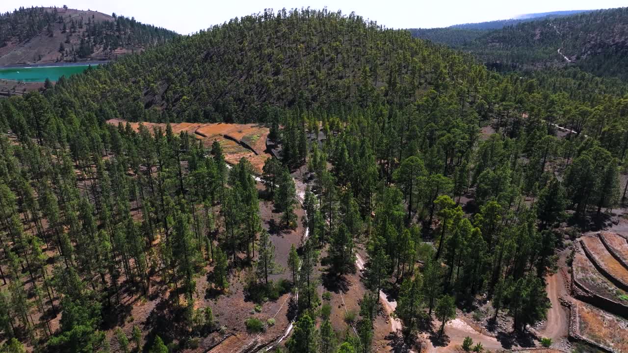 Mountain view with Trevejos reservoir, green forest landscape in Tenerife