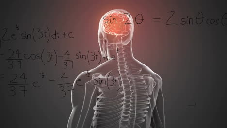 animation of mathematical data processing over human brain and body on grey background