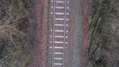 ascending aerial top down of railroad track with falling leaves of trees during daytime in autumn