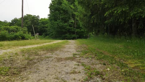 Ländliche-Unbefestigte-Straße-Mit-Gras-Rundherum,-Blick-Nach-Vorne-Auf-Den-Dolly-Aus-Niedrigem-Winkel