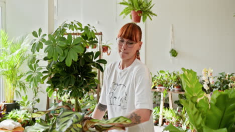 mujer en una tienda de plantas que muestra varias plantas de interior