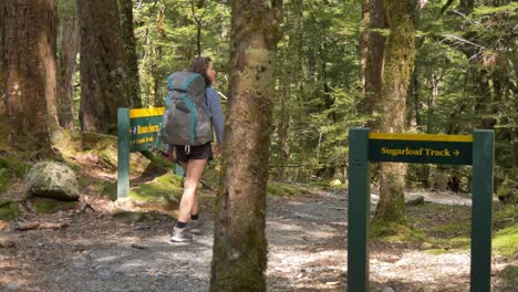 slider, female hiker walks past routeburn track signs in forest, new zealand