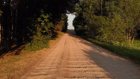 Dirt-road-in-forestry-area-with-tree-branches-growing-over,-aerial-low-altitude-fly