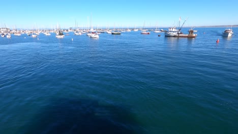 tarde de invierno del puerto deportivo del norte de california - 4k