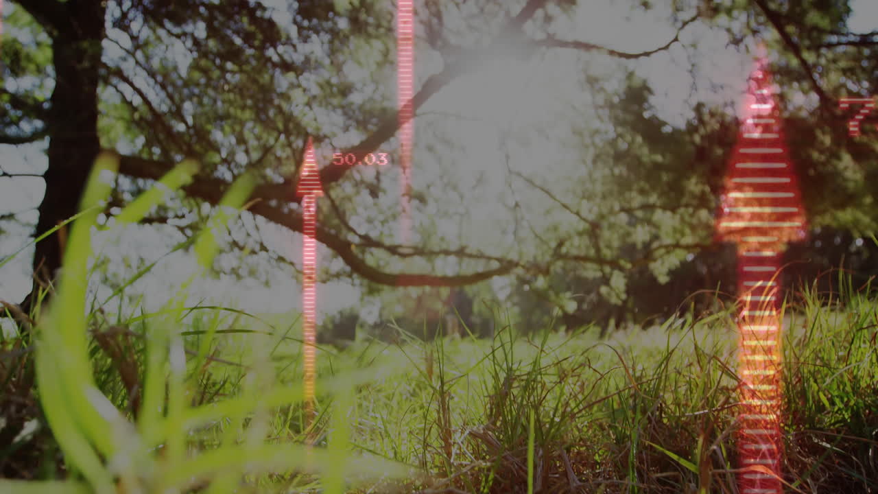 Animation of digital data overlaying numbers on sunny grassy landscape scene