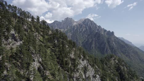 阿爾巴尼亞瓦爾博納山谷 (valbona valley) 的無人機在近距離飛行中, 欣賞了該地區的松樹和樹木的美麗.