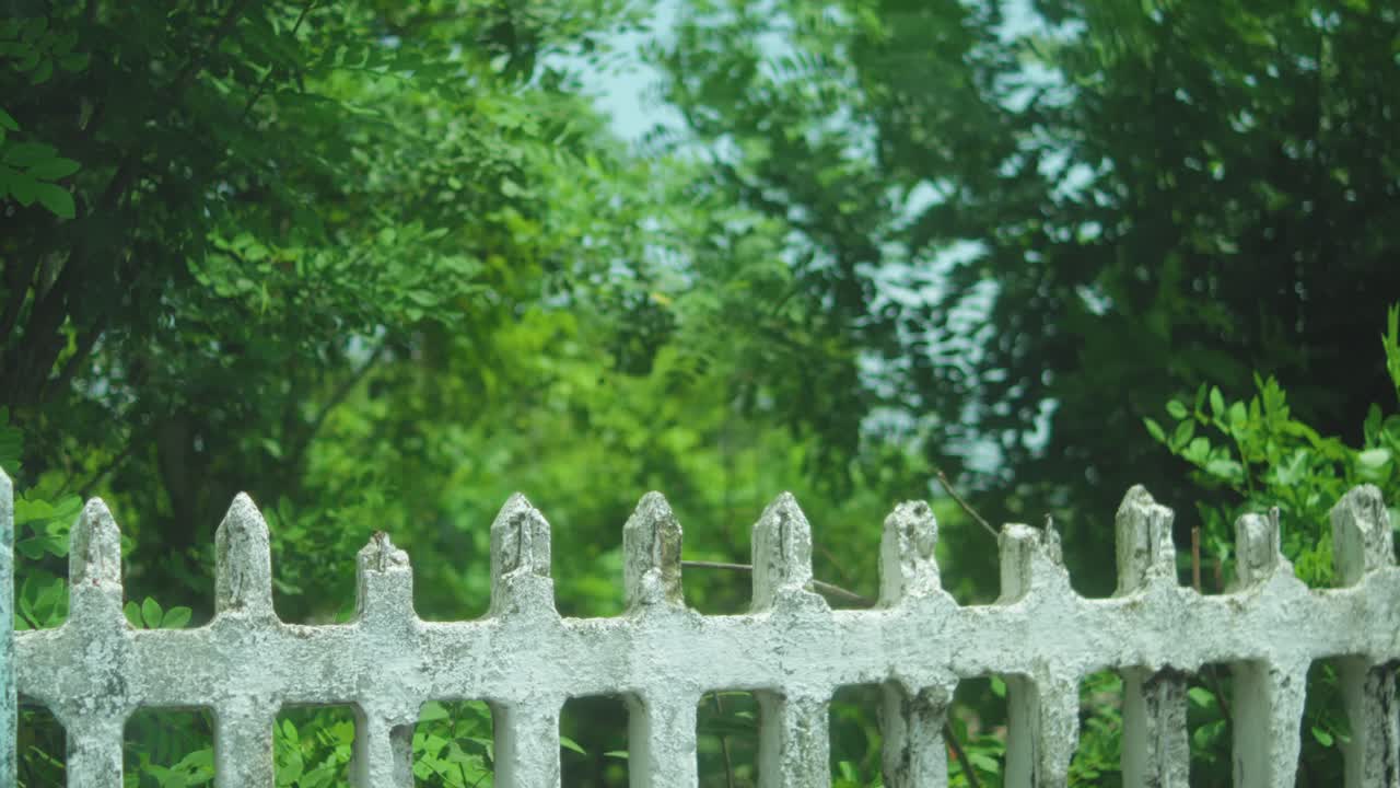 White rustic fence with green trees swaying gently in the breeze. Peaceful rural landscape evoking calm, solitude, and freedom. Perfect for nature, mindfulness, or serenity themes