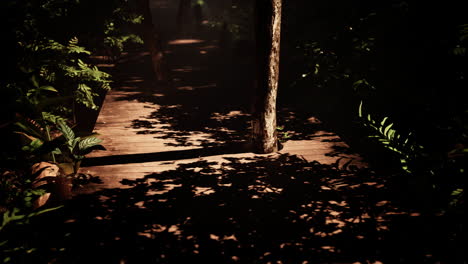 mysterious path through dark forest