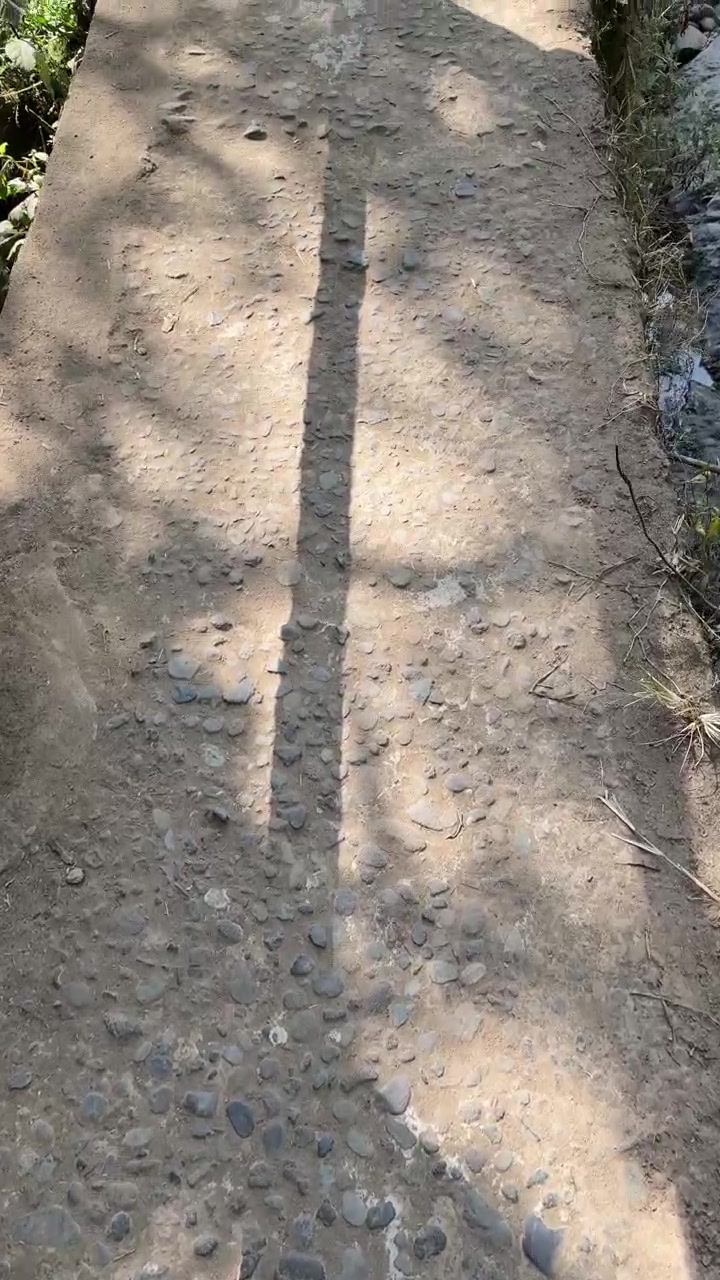 Person Walking Down Stone Steps on a Nature Trail