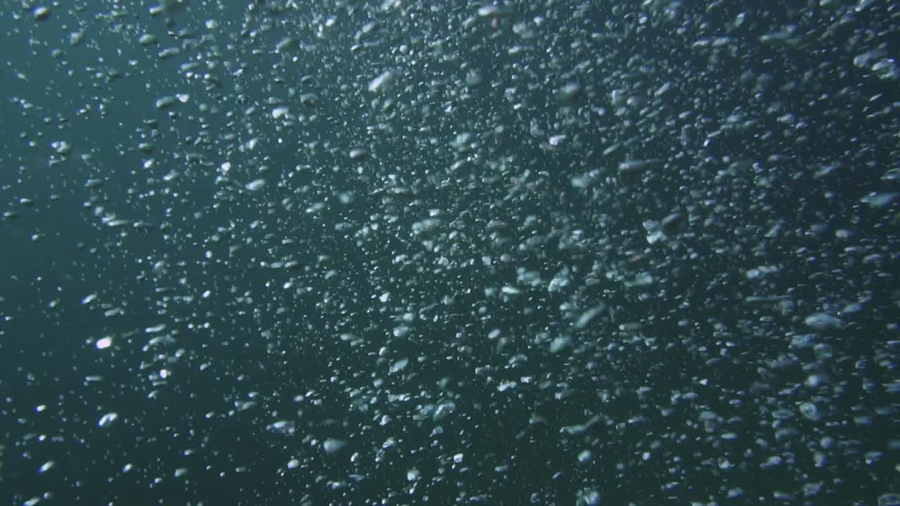 toma a cámara lenta bajo el agua de un gran grupo de burbujas que suben a la superficie
