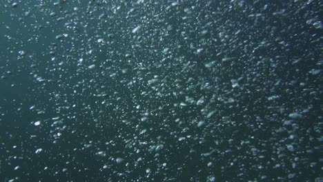 toma a cámara lenta bajo el agua de un gran grupo de burbujas que suben a la superficie