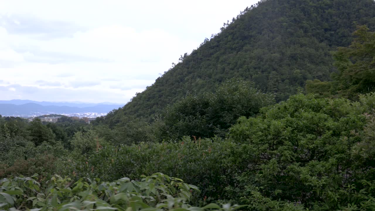 impresiones de la cultura japonesa en tokio, kyoto, osaka, koyasan, japón, asia