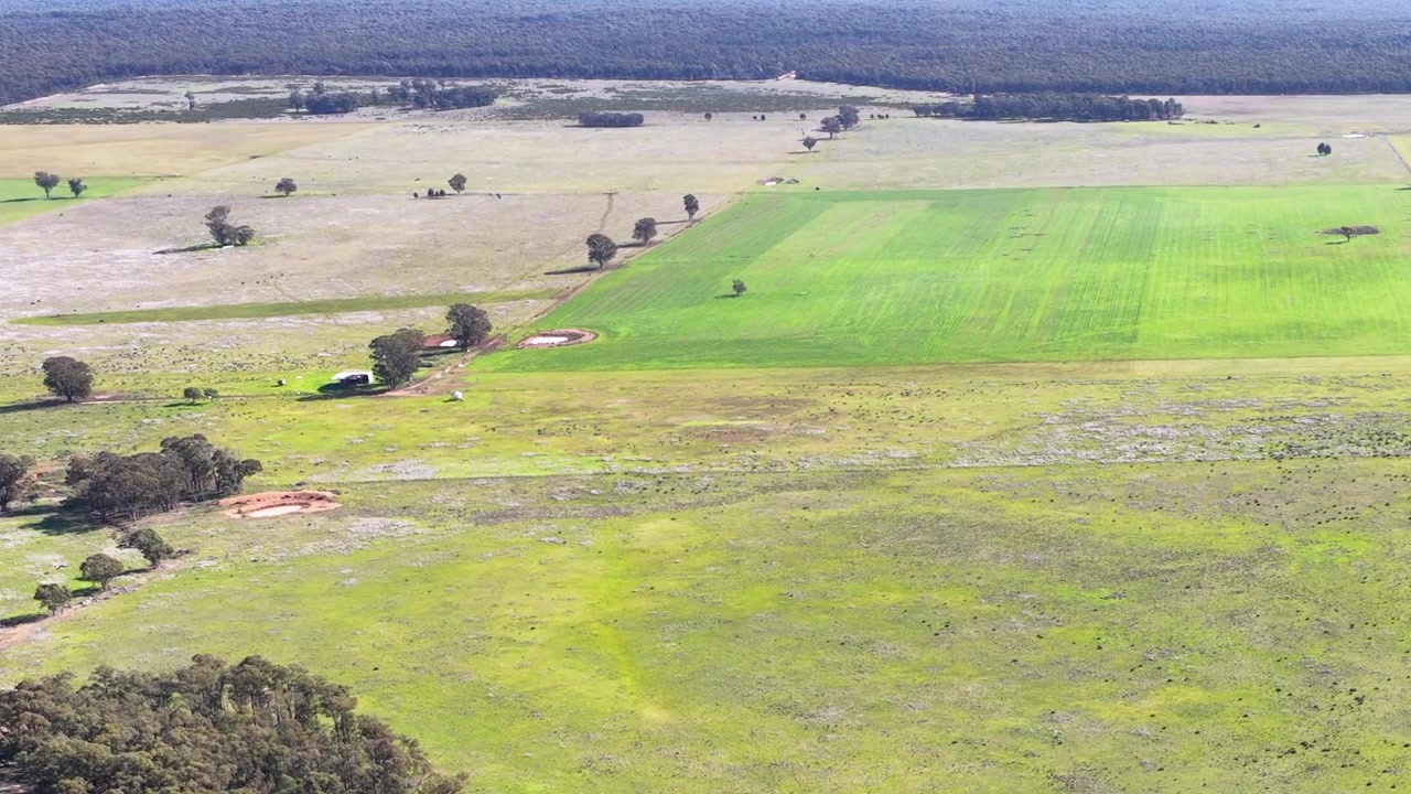 Højvinkel droneoptagelse over grønne græsgange og oprindelig skov i New South Wales, Australien