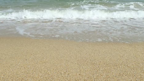 해변