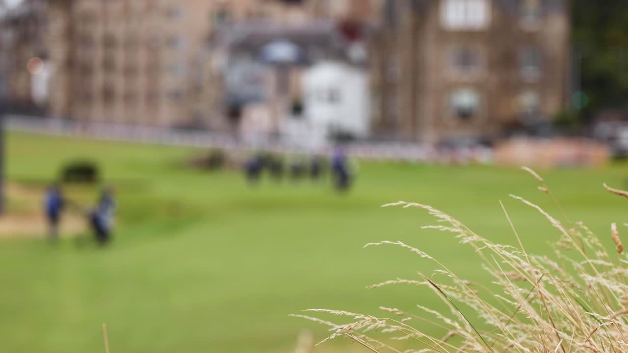 골퍼 들 이 울창 한 초록색 필드 에서 놀고 있다