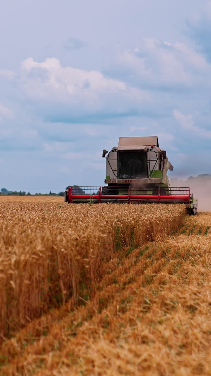 Kyiv, Ukraine, 2 May 2025: Combine Agriculture Machinery Technology. Grain harvester working in field gathering crop of wheat. Vertical video