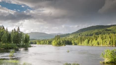 Norwegen-Stromschnellen-Farn-4k-05