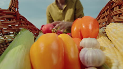 fresh vegetables in a basket