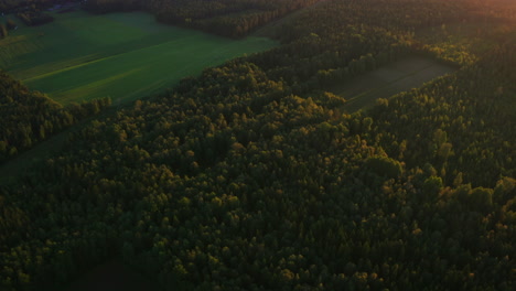 hermosas imágenes de drones de vastos paisajes abiertos en el norte de suecia, bosques y campos
