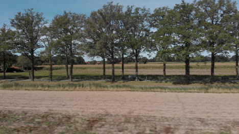 Panorámica-Lateral-Aérea-Que-Muestra-Una-Carretera-Rural-Asfaltada-Limpia-Y-Un-Carril-Bici-En-Los-Países-Bajos-Con-Una-Hilera-De-árboles-Que-Crean-Un-Carril-Corredor-Con-Campos-De-Cultivo-Detrás-Contra-Un-Cielo-Azul-Y-Coches-Que-Pasan