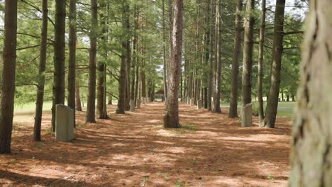 catholic memorial forest garden with ceremonial meditation stones lined up in a row