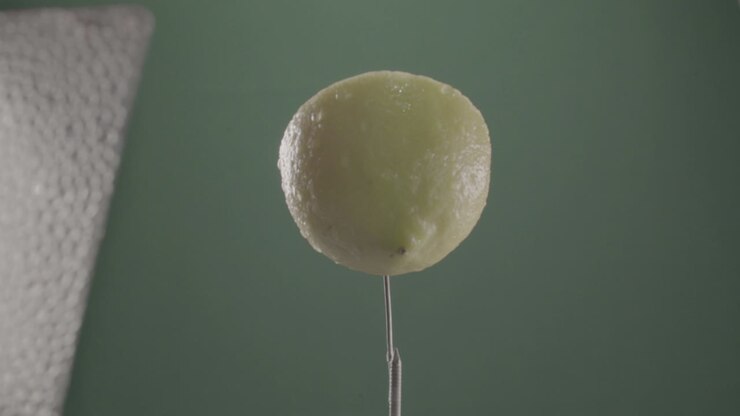 Lemon rotating with loop on green screen for chroma key