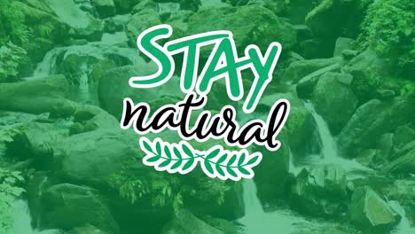 Animation-of-stay-natural-text-over-rocks-in-forest