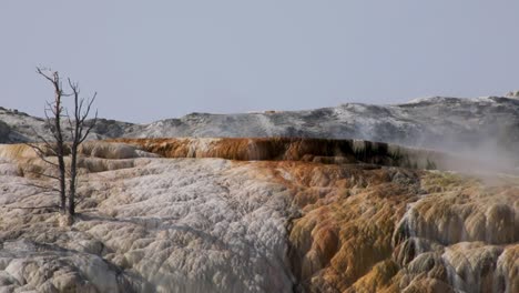 vapor que se eleva por encima de las gigantescas aguas termales con calizas de travertino durante el verano en el parque nacional de yellowstone, wyoming, ee.uu.