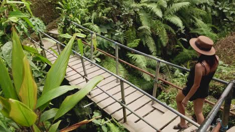 bali. the girl crosses the river on a wooden bridge in a tropical forest. around it are rice terraces, palm trees, bushes, the locals harvest.