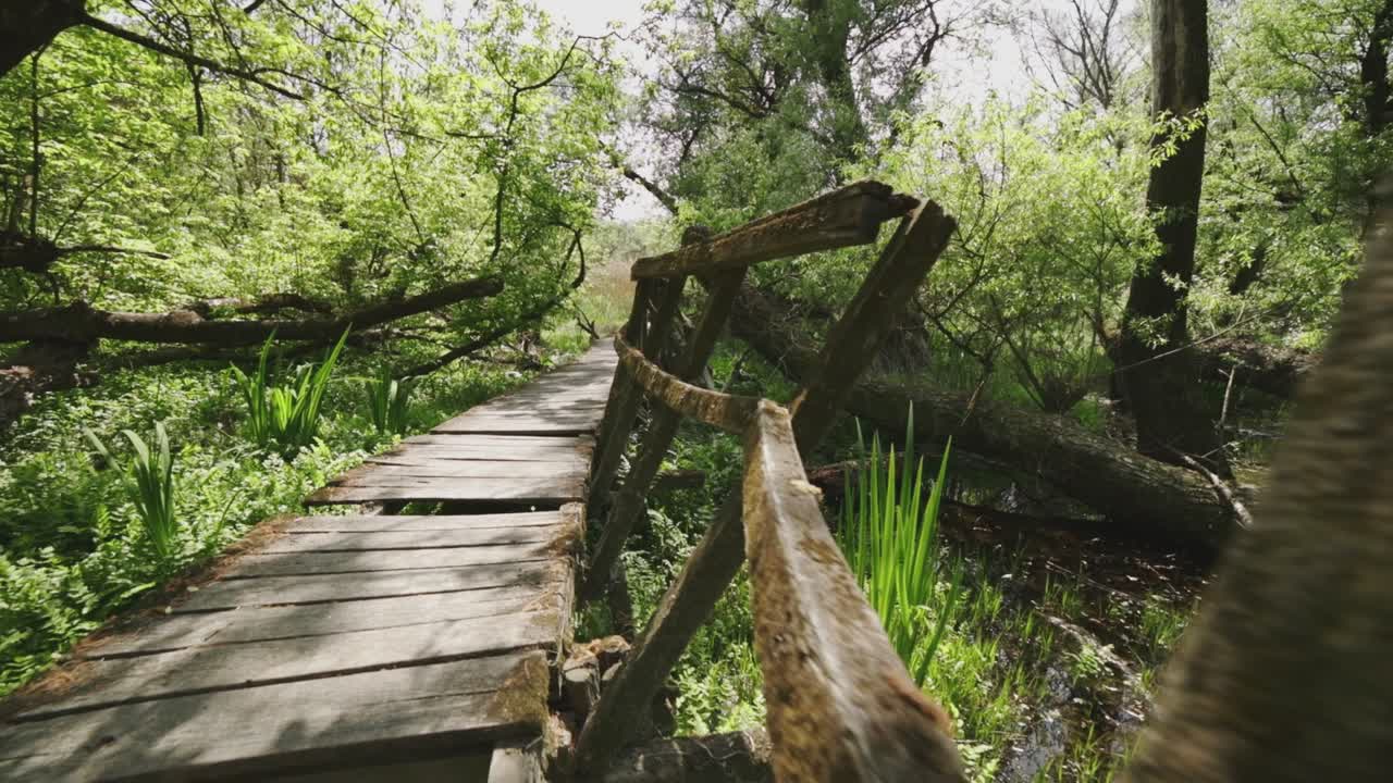 vista en perspectiva de la rotonda y de intervalos de tiempo más largos desde un sendero natural abandonado y su entorno
