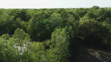 Lush-greenery-along-Wolf-River-in-Collierville,-TN,-sunlight-dapples-through-trees,-aerial-view