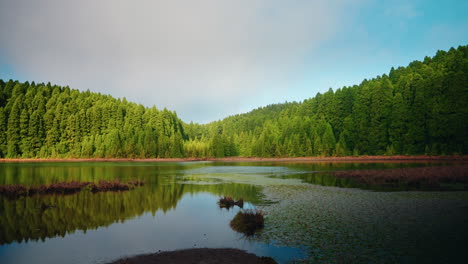 Mountain-lake-surrounded-by-green-high-pines