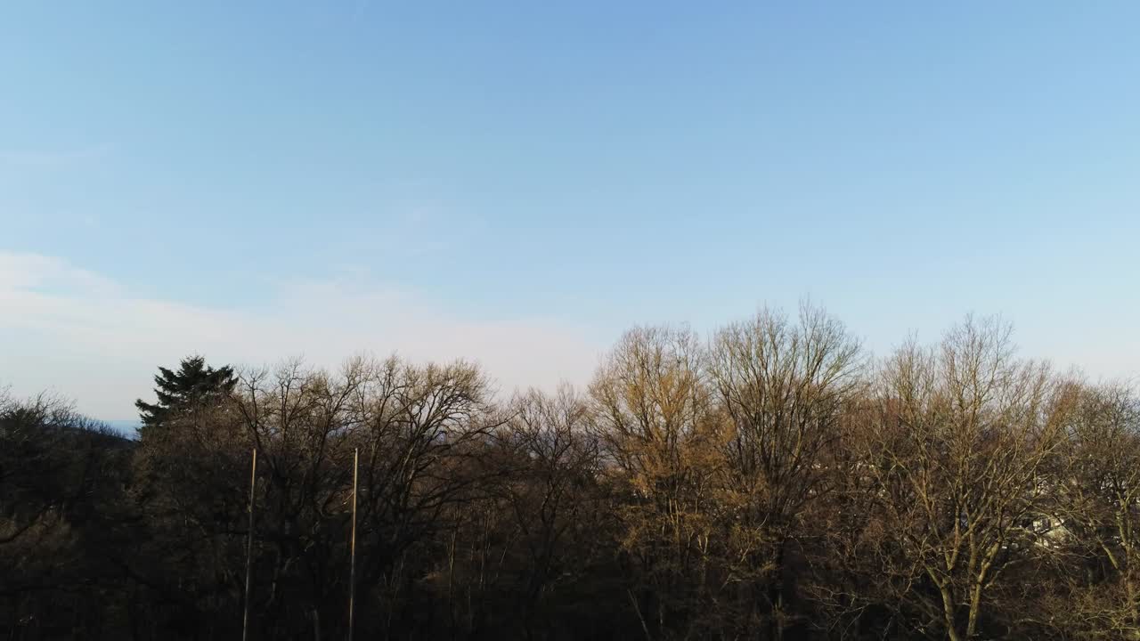 독일, 유럽에서 일출 동안 나무 꼭대기 위로 상승