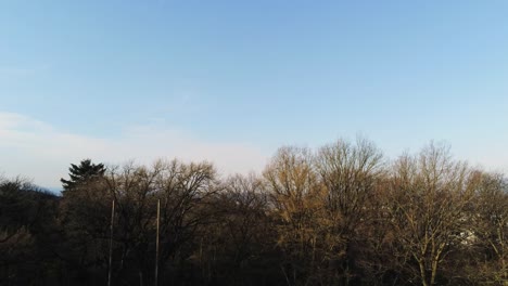 Rising-over-tree-tops-during-sunrise-in-Germany,-Europe