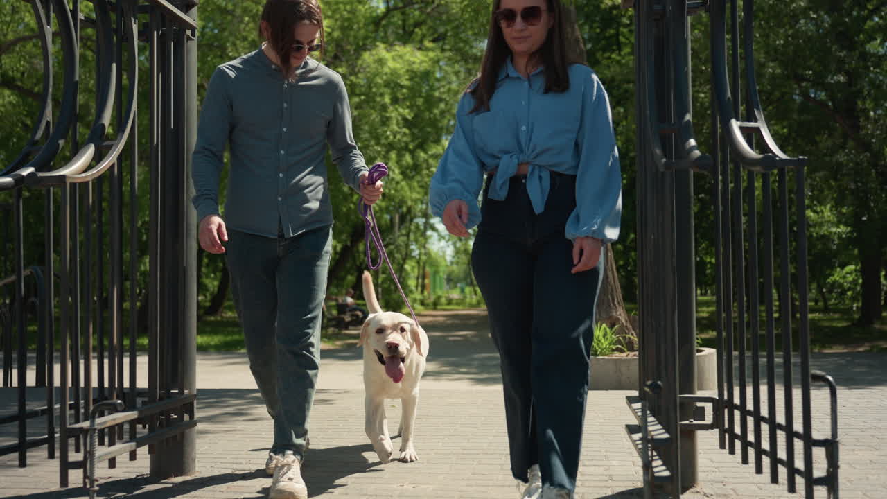 soleado día de campo en el parque, escena relajada de una pareja paseando con su perro en un parque urbano, un entorno urbano donde la pareja pasea casualmente a su alegre labrador a través de una puerta de hierro forjado