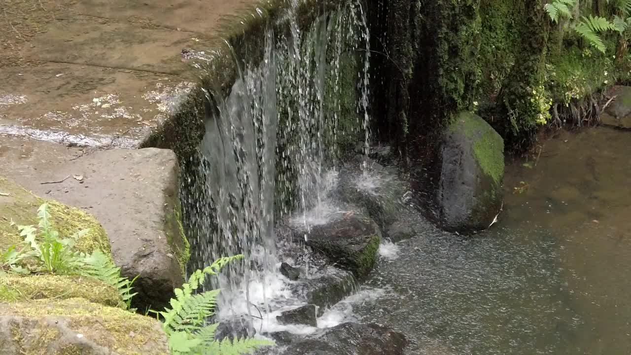 bosque pacífico cascada zen cámara lenta cascada de agua fresca que fluye aumento ojo de pájaro